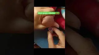 Newborn blood collection।। how to collect Newborn blood sample 👩&zwj;⚕️🩺#shortsfeed #nurse #shortsvideo