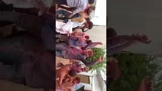 DulhanDi