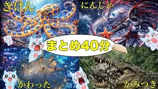 【長時間まとめ】海の危険、変わった名前、忍者のような生き物、噛みつきランキング