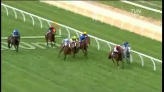Steve Moran Selects - AAMI Victoria Derby Day