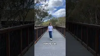 A very easy and beautiful walking trail, an hour's drive out of Sydney.