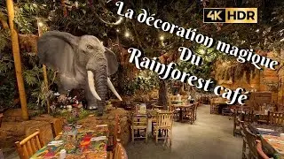 D&Eacute;COR DU RESTAURANT LE RAINFOREST CAF&Eacute; AU DISNEY VILLAGE DE DISNEYLAND PARIS