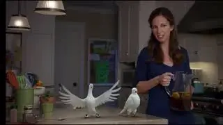 Birds Eye &ldquo;So Veggie Good&rdquo; Commercial Compilation