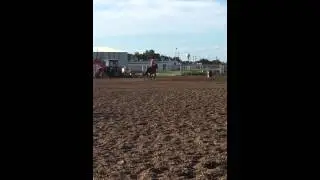 Hickory Squawlin Uno on 7/12/15 Barrel Exhibition