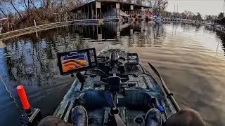 Any Cast here could be a 5 to 12 LB BASS