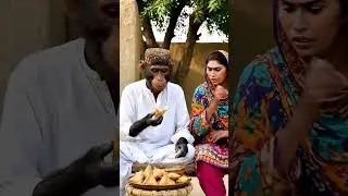 Funny Desi Village Monkey Couple | Samosa Comedy in Pakistani Rural Life (AI Cinematic Video) #funny