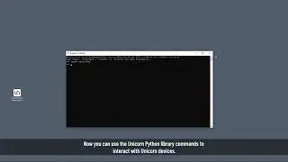 Unicorn Hybrid Black Tutorial: Python API
