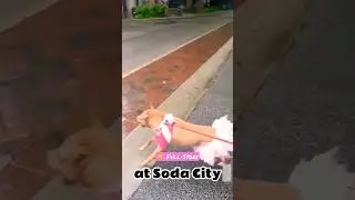 🐶 Dog Dresses Up As Easter Bunny Looking For New Family 🐰 #dog
