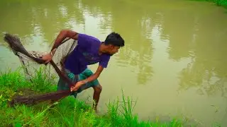 Net Fishing | Asian Traditional Cast Net Fishing | Fishing in Village by ABTVbd
