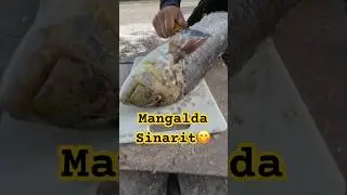 MANGALDA SİNARİT NASIL YAPILIR? Bu balığı nasıl yakaladığımı merak edenler i&ccedil;in Link Burada👇