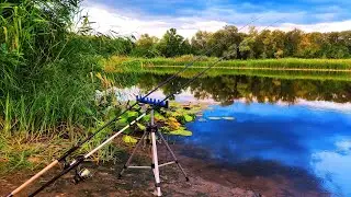 ПРО ЦЕ МРІЄ КОЖЕН РИБАК! ТОБІ ТЕЖ ЗАХОЧЕТЬСЯ! Рибалка на фідер.