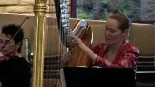 Double Harp Concerto Mvt 6 Vamp Latino with Ellie Choate and David Ice 
