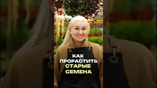 Наверняка у вас завалялись старые семена, которые жалко выкидывать