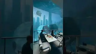 Restaurants on earth that feel unreal