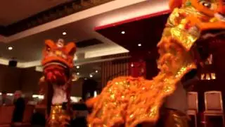 Lion Dance Performance [Paradigm Infinitum]