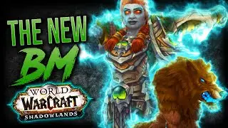 BM Hunter SHADOWLANDS Alpha Overview