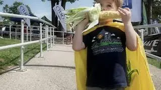 TL CornFest | Highlights 2019