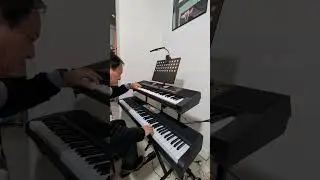 曲目: 莎芭女王 La Reine De Saba之一這首小調的演奏曲在國際上算是列入流行樂與輕音樂的範疇： 1967 年法國歌手 Michel Laurent 