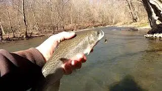 Early spring trout fishing in Southwestern Pennsylvania