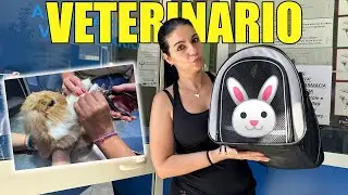 IL NOSTRO CONIGLIO dal VETERINARIO! 😨