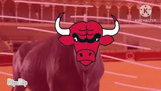 Chicago Bulls Logo Animation