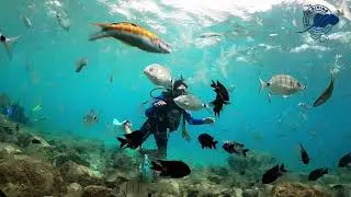 DISCOVER SCUBA DIVING LANZAROTE