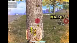 和平精英：我脸上有人#和平精英 #带路人吃鸡