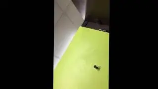 Dropping plops