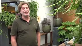 Venlose bloemist na verkoop naar Grubbenvorst