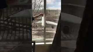 Replacement Windows for Denver Home withstands Wind Test #replacementwindows #windyweather #colorado