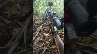 Rekap Turnament Perbakin 555 Ider Alam di Berbagai Wilayah #hunting #tekukur #viral  @viralhog