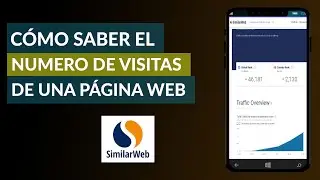 C&oacute;mo Saber el N&uacute;mero de Visitas de una P&aacute;gina Web