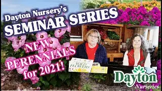 Dayton Nursery // NEW Perennials for 2021!