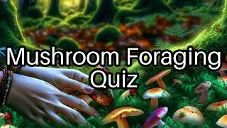 🔍 Mushroom Quiz: How Well Do You Know Gourmet Fungi? 🍄