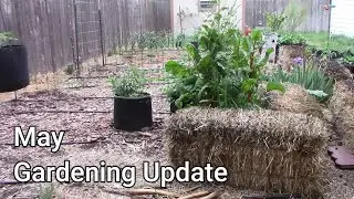May Gardening Update - List Of Tomatoes and Peppers We Are Growing