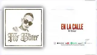 Mr Bliner - En La Calle (Audio Official)