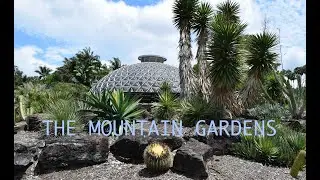 BRISBANE BOTANIC GARDENS, Mount Coot-tha, the mountain gardens