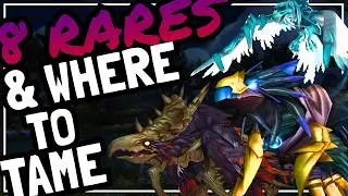 Hunter Pet Guide: BIRDS OF PREY | Rare Pets & Locations | World of Warcraft