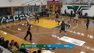 Torren Jones Posts 22 points & 15 rebounds vs. WAVERLEY