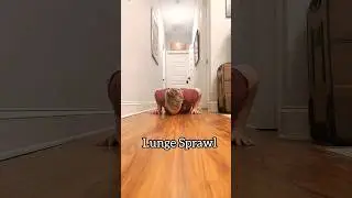 Lunge Sprawl Primal Flow Move: Sprawling Movement Drill #flow #calisthenics #movement #sprawl #video