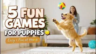 5 Puppy Games Every Dog Owner Must Try Vet Approved!