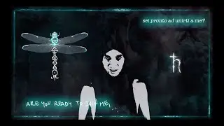 Ekidna - DEFINING