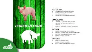 Ultralam Agroindustrial