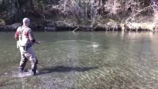 Steelhead Fishing on the Situk River in Yakutat, Alaska