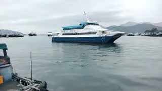 SUNFERRY XIN FA , FIRST FERRY VI , FIRST FERRY III