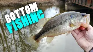 Bottom Fishing - Nightcrawlers