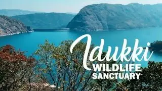 #idukki #idukkiwildlifesanctury #Travelvlog Idukki wildlife Sanctuary/A forest above the dam/mtgamer
