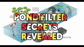 The Unsung Hero Essential Guide to Koi Pond Filtration for Crystal Clear Water