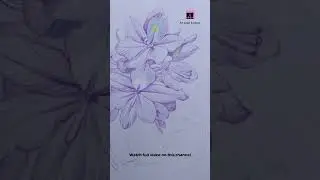 Water hyacinths flower drawing | how to draw water hyacinths #short  #colorpencil  #flowerdrawing