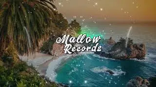 Audio React Visualizer Template [FREE DOWNLOAD]